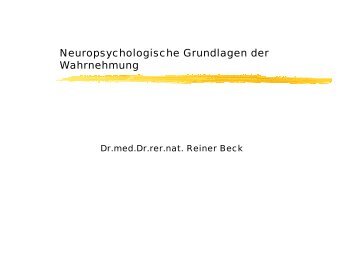 Neuropsychologische Grundlagen der Wahrnehmung