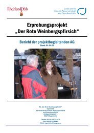 Vorläufiger Schlussbericht.pdf - LUWG - in Rheinland-Pfalz