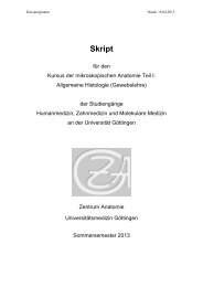 Skript - Zentrum Anatomie