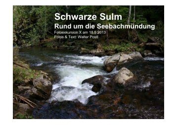 rettet die schwarze sulm