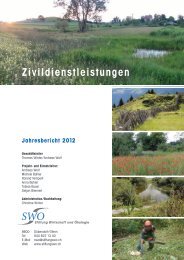 Jahresbericht 2012 - Stiftung Wirtschaft und Ökologie SWO