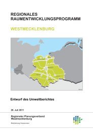 Deckblatt RREP Umweltbericht Juli 2010 WM.cdr - Regionaler ...