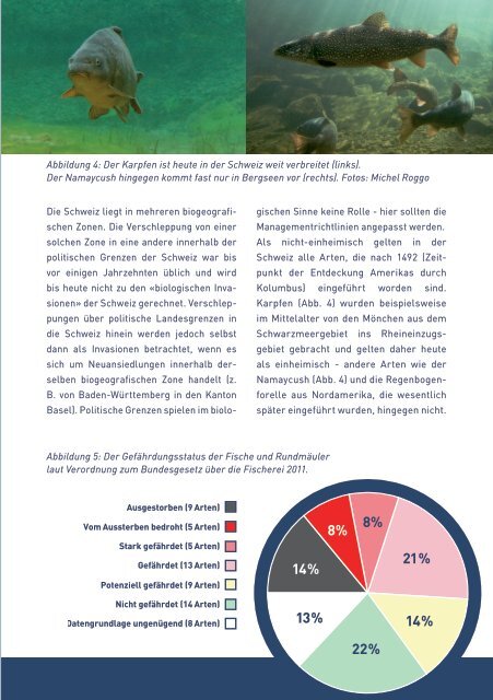 Die Biodiversität der Schweizer Fische - Fiber