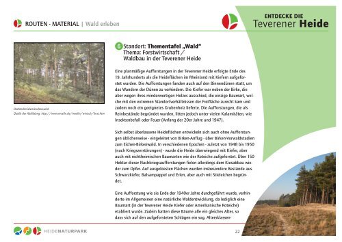 ROUTEN - MATERIAL | Wald erleben - Teverener Heide