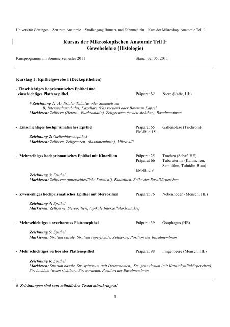 Kursus der Mikroskopischen Anatomie Teil I - Zentrum Anatomie