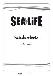 Schulmaterial - Sea Life