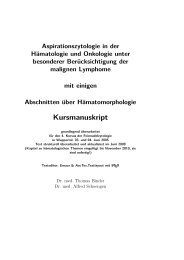 Aspirationszytologie in der Hämatologie und ... - Binder-Ventil