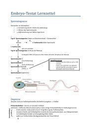 Embryo‐Testat Lernzettel - wilmnet.de