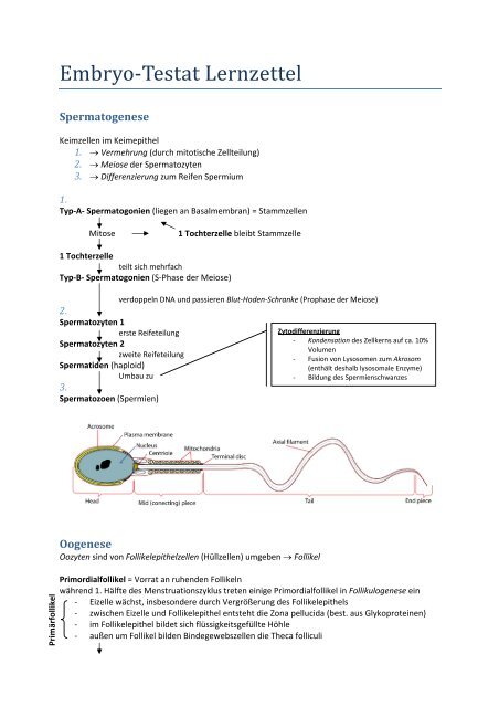 Embryo‐Testat Lernzettel - wilmnet.de