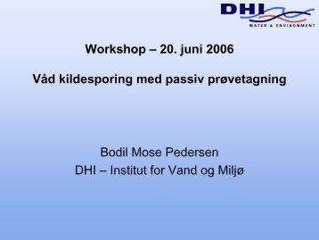 Bodil Mose Pedersen, DHI - Kildesamarbejdet
