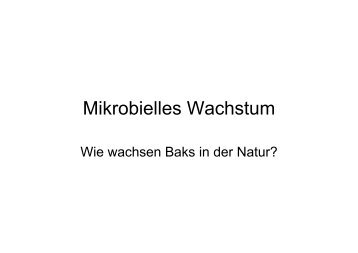 Mikrobielles Wachstum