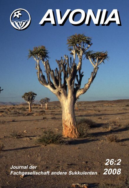 Aloe dichotoma - Köcherbaum - IG-Aloaceae