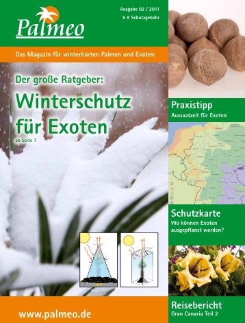 Der große Ratgeber: Winterschutz für Exoten - Palmeo