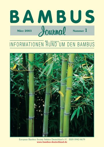 informationen rund um den bambus - Forum der European Bamboo ...