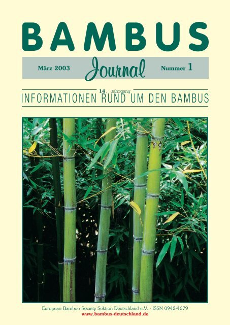 Informationen Rund Um Den Bambus Forum Der European Bamboo