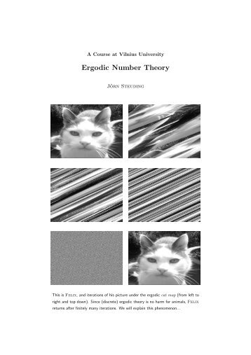 Ergodic Number Theory