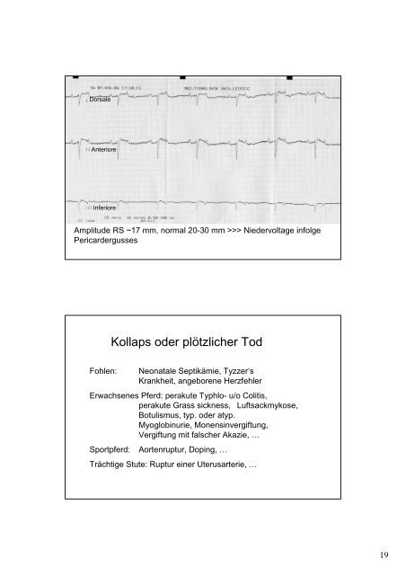 7_8 Kardiologie, Kollaps, plötzlicher Tod