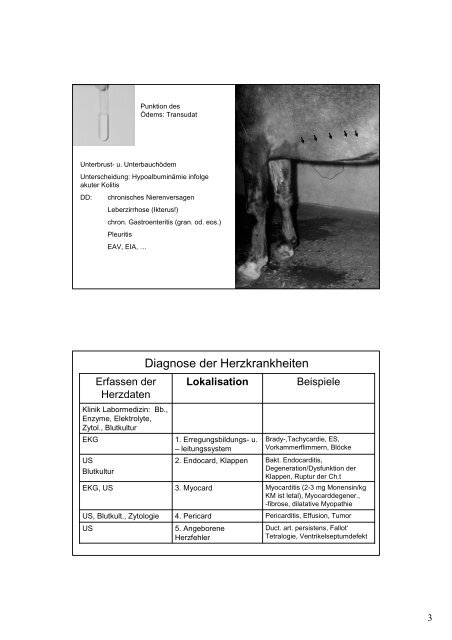 7_8 Kardiologie, Kollaps, plötzlicher Tod