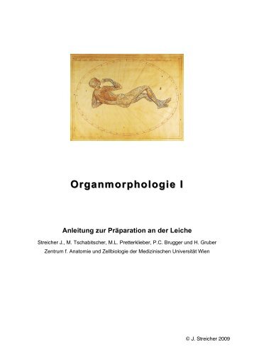 Organmorphologie I Organmorphologie I - nextdoc