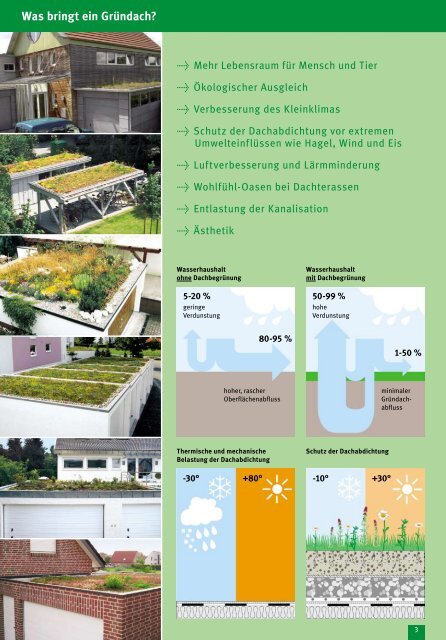 Privatkunden Prospekt - Dachbegrünung Ratgeber