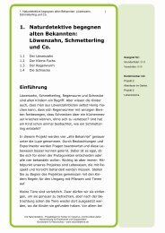 Löwenzahn, Schmetterling und Co. - Naturdetektive