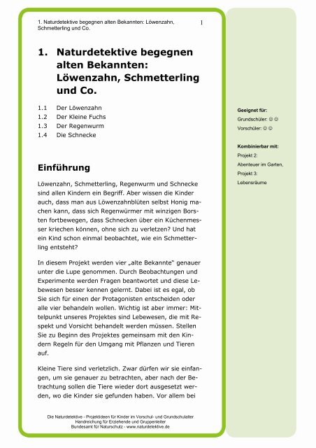 Löwenzahn, Schmetterling und Co. - Naturdetektive