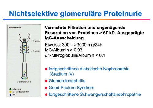 Labordiagnostik der Proteinurie - Institut für Klinische Chemie