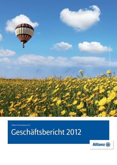 Geschäftsbericht 2012