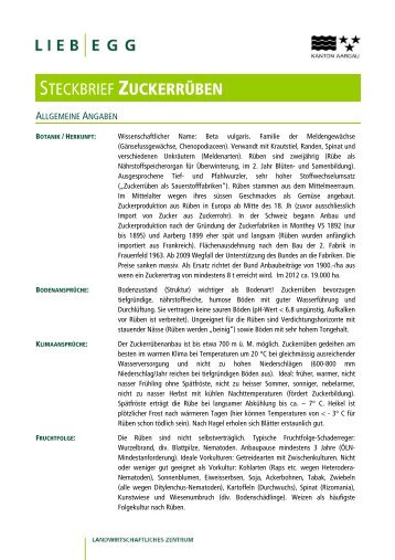 STECKBRIEF ZUCKERRÜBEN - Liebegg