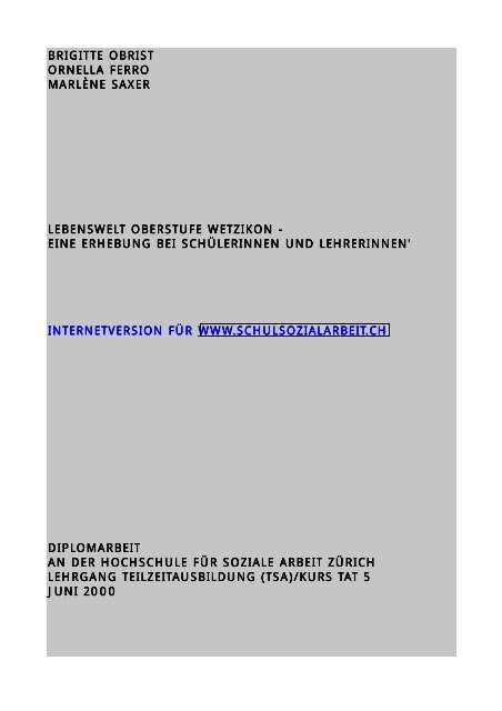 Lebenswelt Oberstufe Wetzikon Pdf Bigibob