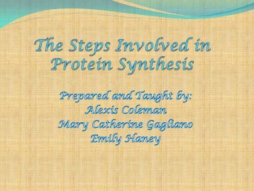 The steps Involved in Protein Synthesis
