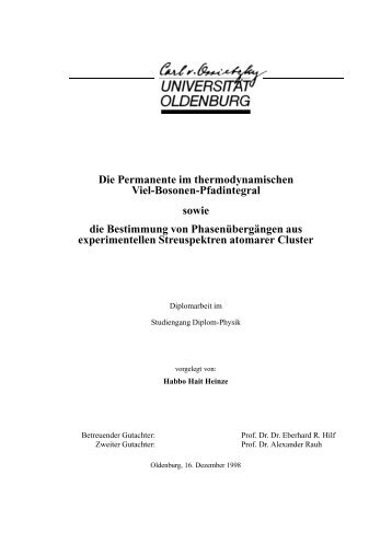 Die Permanente im thermodynamischen Viel-Bosonen-Pfadintegral ...