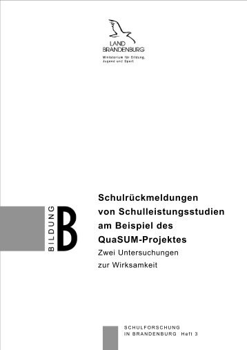 Schulrückmeldungen von Schulleistungsstudien - Ministerium für ...