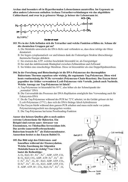 Zweite Runde 2007 - Schweizer Biologie Olympiade