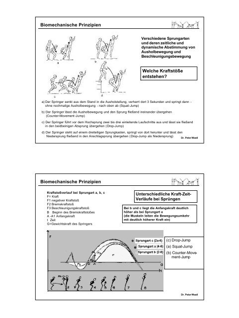 Biomechanische Betrachtungsweise