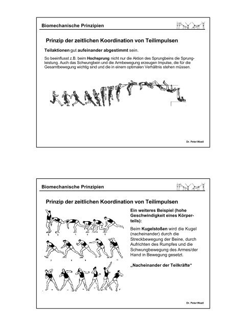 Biomechanische Betrachtungsweise