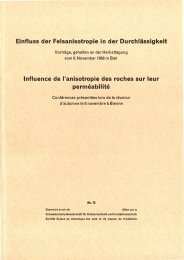 Einfluss der Felsanisotropie in der Durchlässigkeit ... - SGBF-SSMSR