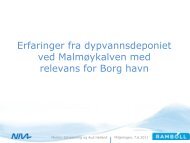 Erfaringer fra dypvannsdeponiet ved ... - MILJØRINGEN