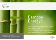 Bamboo Energy 1 - MMM-Messe