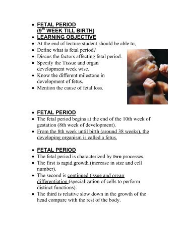 FETAL PERIOD