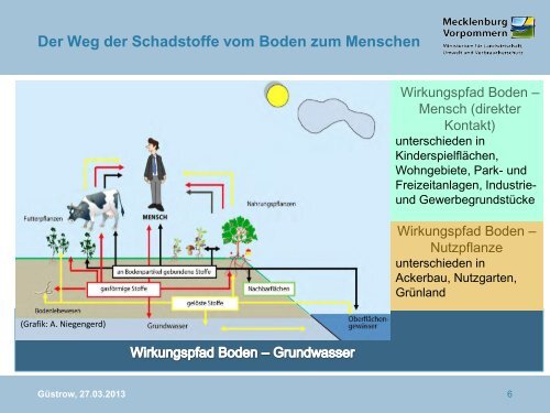 Boden macht Schule - Die Rolle des Bodens im Wasserkreislauf