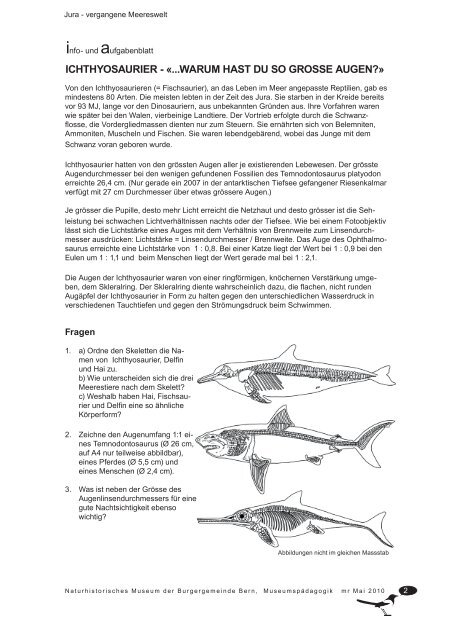 JURA - veRgAngene MeeReswelt - Naturhistorisches Museum Bern