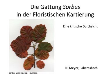 Sorbus - Die floristische Kartierung Baden-Württembergs