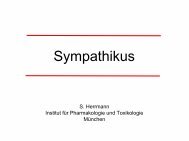 Sympathikus