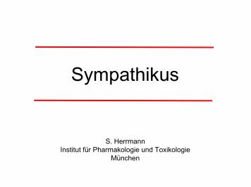 Sympathikus