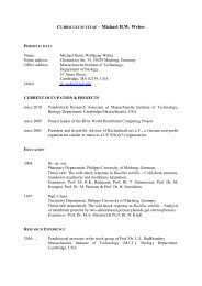 Curriculum vitae spital 08 image