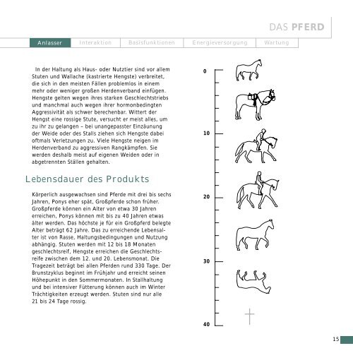 DAS PFERD – EINE BEDIENUNGSANLEITUNG