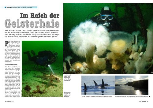 Im Reich der Im Reich der - Rendezvous Dive Adventures