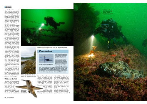 Im Reich der Im Reich der - Rendezvous Dive Adventures