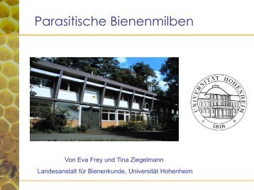 Varroa - Landesanstalt für Bienenkunde - Universität Hohenheim